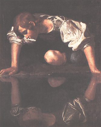 0853carnarcisog.jpg